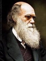 Дарвин Чарлз Роберт (Charles Darwin)